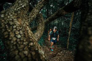 BIB: 
                            <button type="button" onclick="openModal(25696412)" class="btn btn-primary btn-sm float-right btn-popup" data-toggle="modal" data-target=".modal-high-quality">
                        <i class="fas fa-shopping-cart"></i> Add to Cart
                    </button>
                                            <button type="button" onclick="isThisMe(25696412, true)" class="btn btn-success btn-sm float-right btn-popup btn-isme hidden" data-toggle="tooltip" data-placement="bottom" title="นี่คือรูปของคุณใช่ไหม คลิกที่นี่เพื่อเอาเข้าอัลบั้ม">
                        <i class="fas fa-plus"></i> Add to album
                    </button>
                    <button type="button" onclick="isThisMe(25696412, false)" class="btn btn-warning btn-sm float-right btn-popup btn-isnotme hidden">
                        <i class="fas fa-ban"></i> Remove from album
                    </button>